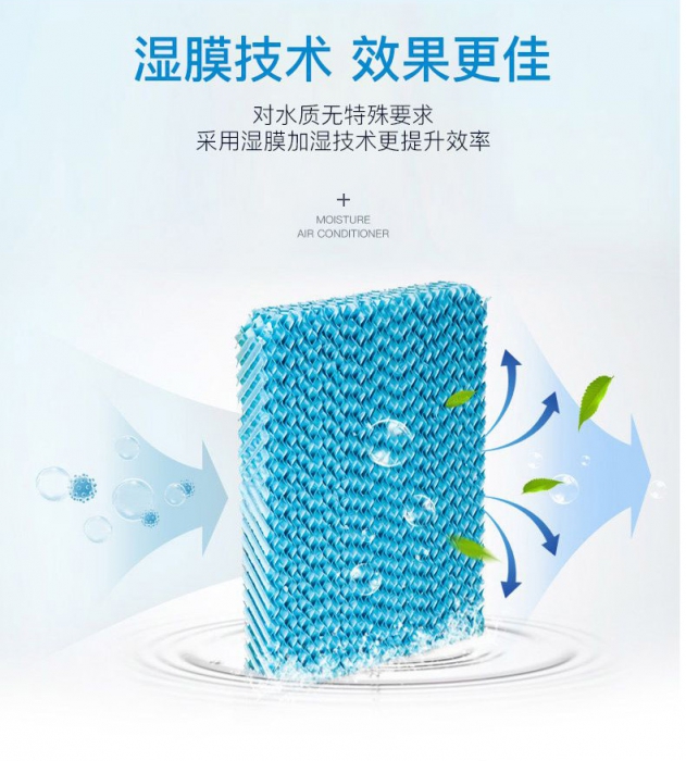 潮濕季,食材/貴重物品該防潮防霉防蟲,你不知道的秘密!