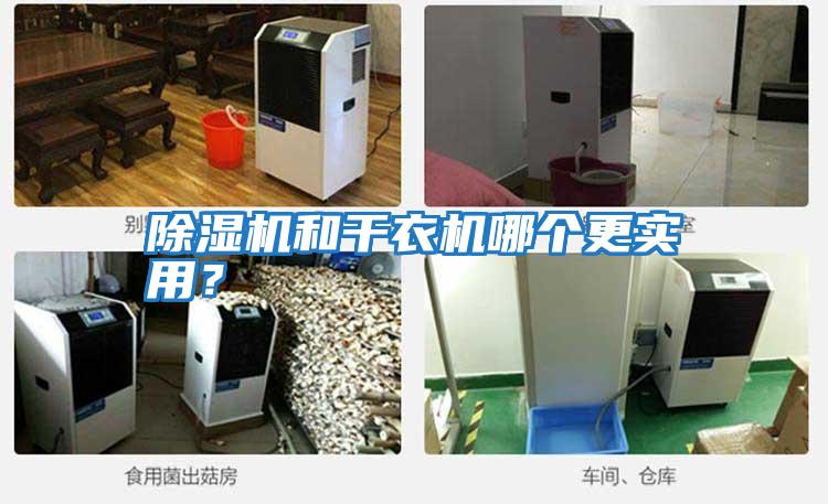 除濕機和干衣機哪個更實用?
