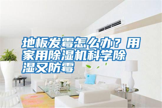 地板發(fā)霉怎么辦?用家用除濕機科學(xué)除濕又防霉