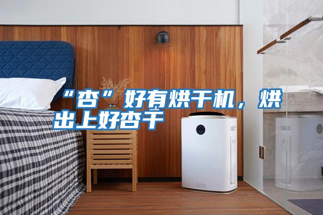 “杏”好有烘干機，烘出上好杏干