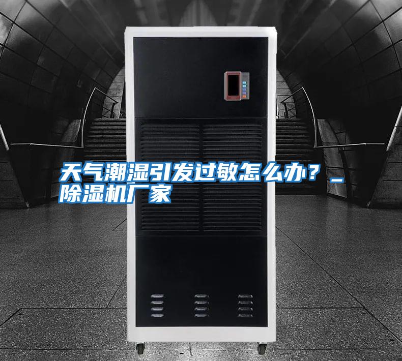 天氣潮濕引發過敏怎么辦?_除濕機廠家