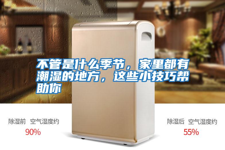 不管是什么季節,家里都有潮濕的地方,這些小技巧幫助你