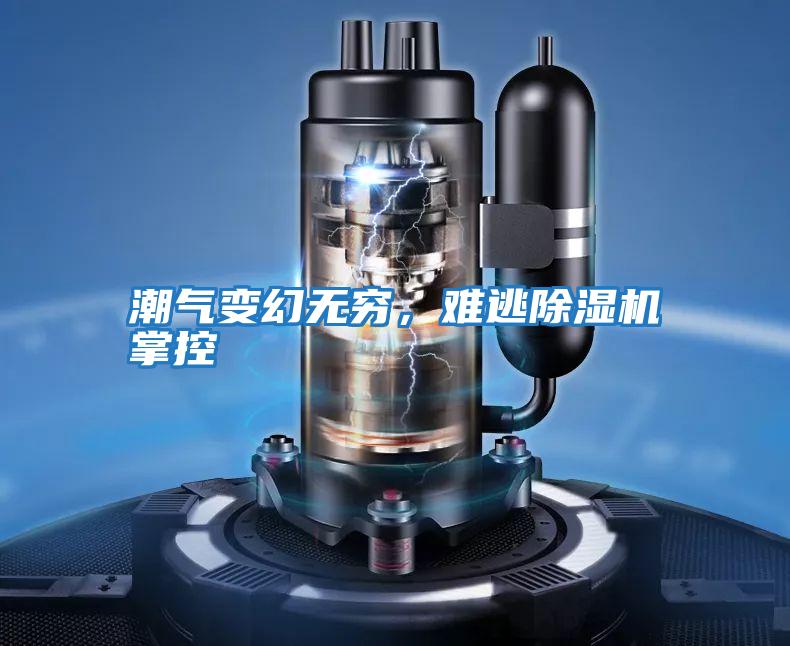 潮氣變幻無窮,難逃除濕機(jī)掌控