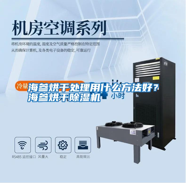 海參烘干處理用什么方法好？海參烘干除濕機(jī)