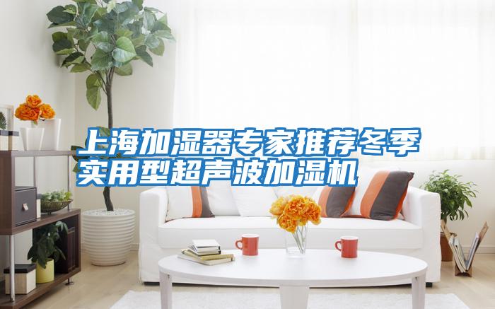 上海加濕器專家推薦冬季實用型超聲波加濕機