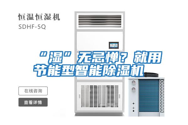 “濕”無忌憚？就用節能型智能除濕機