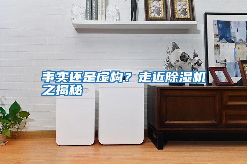 事實還是虛構?走近除濕機之揭秘
