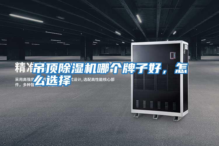 吊頂除濕機(jī)哪個牌子好,怎么選擇