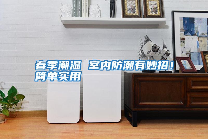 春季潮濕 室內(nèi)防潮有妙招!簡(jiǎn)單實(shí)用