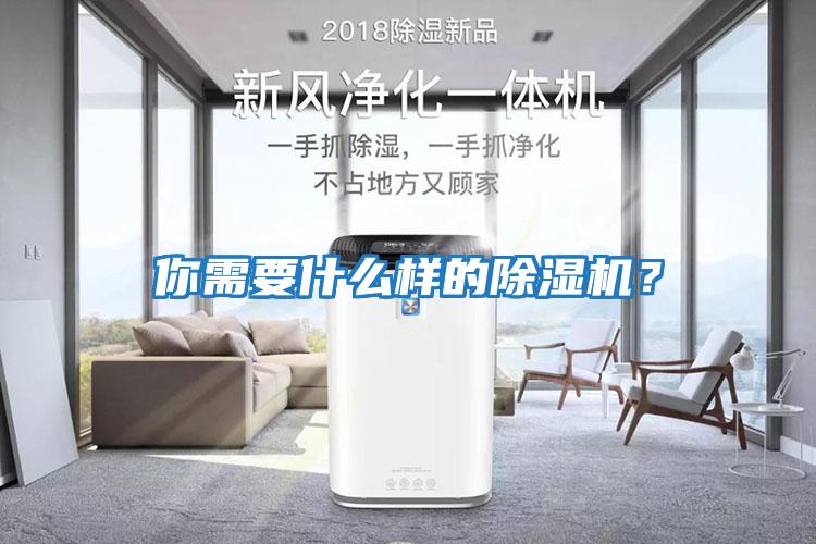 你需要什么樣的除濕機(jī)?