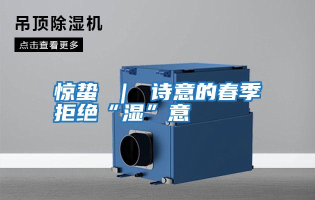 驚蟄 | 詩意的春季拒絕“濕”意