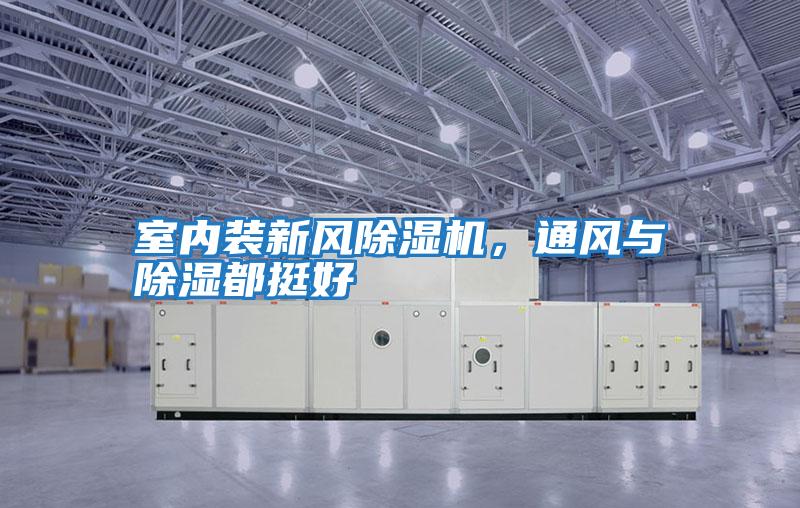 室內裝新風除濕機，通風與除濕都挺好