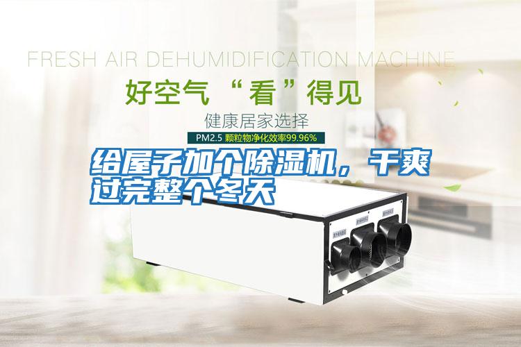 給屋子加個除濕機,干爽過完整個冬天