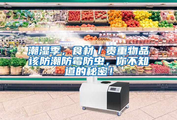 潮濕季,食材/貴重物品該防潮防霉防蟲,你不知道的秘密!