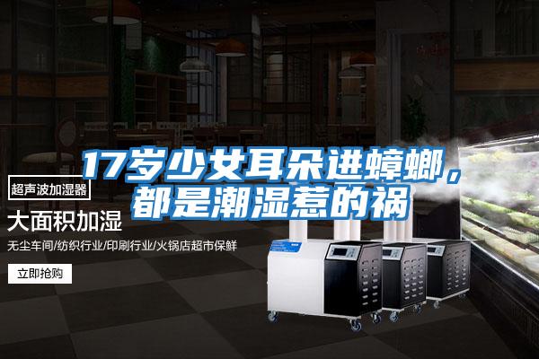 17歲少女耳朵進蟑螂,都是潮濕惹的禍