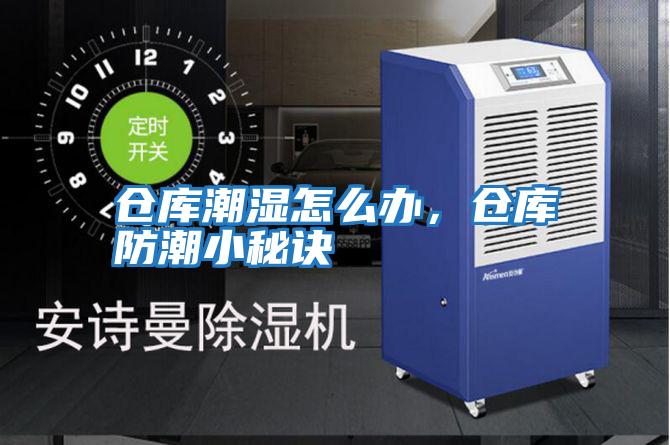 倉庫潮濕怎么辦，倉庫防潮小秘訣