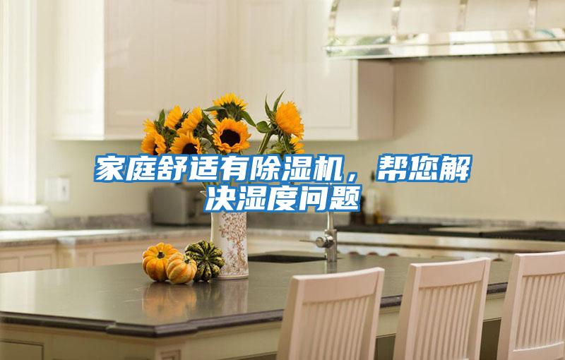 家庭舒適有除濕機，幫您解決濕度問題