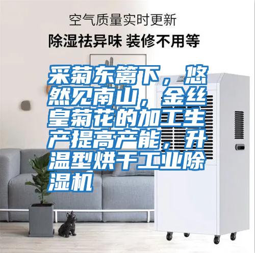 采菊東籬下,悠然見(jiàn)南山,金絲皇菊花的加工生產(chǎn)提高產(chǎn)能,升溫型烘干工業(yè)除濕機(jī)