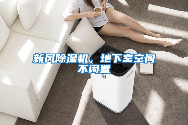 新風(fēng)除濕機，地下室空間不閑置