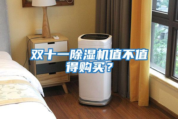 雙十一除濕機值不值得購買？