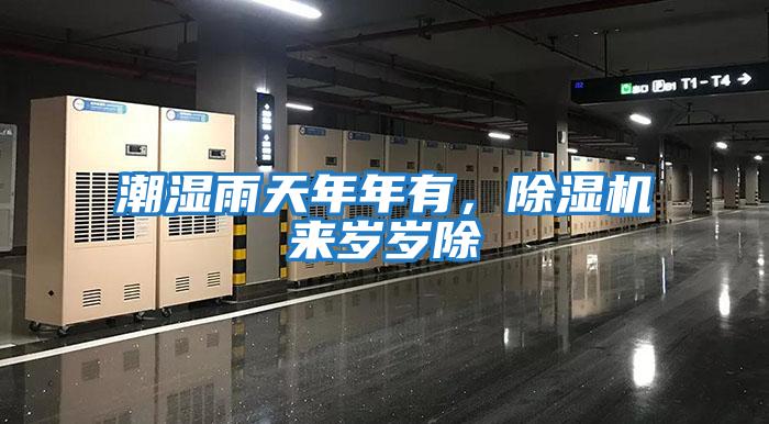 潮濕雨天年年有,除濕機來歲歲除