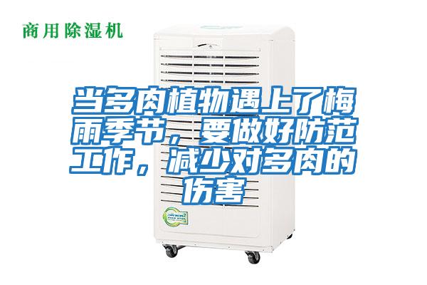 當多肉植物遇上了梅雨季節(jié)，要做好防范工作，減少對多肉的傷害