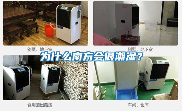 為什么南方會很潮濕？