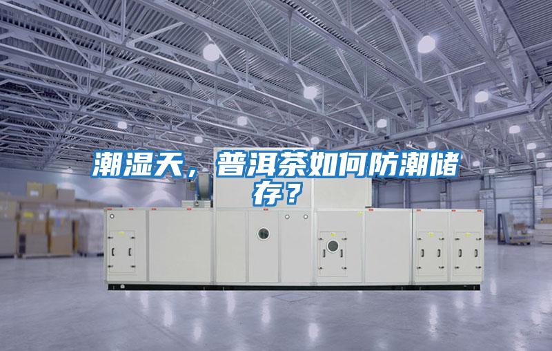 潮濕天，普洱茶如何防潮儲存？
