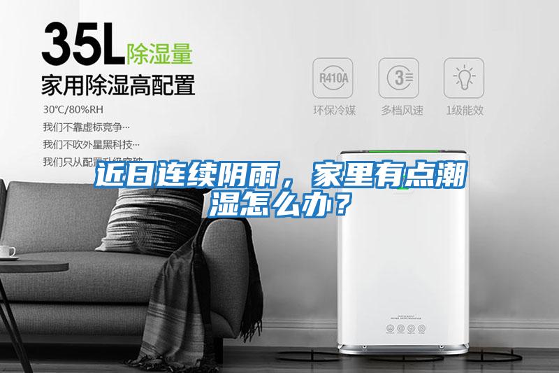 近日連續陰雨，家里有點潮濕怎么辦？