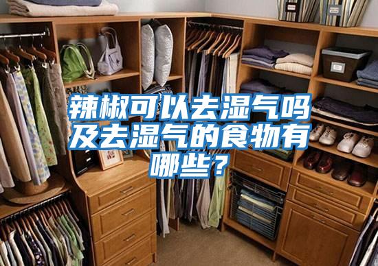 辣椒可以去濕氣嗎及去濕氣的食物有哪些？