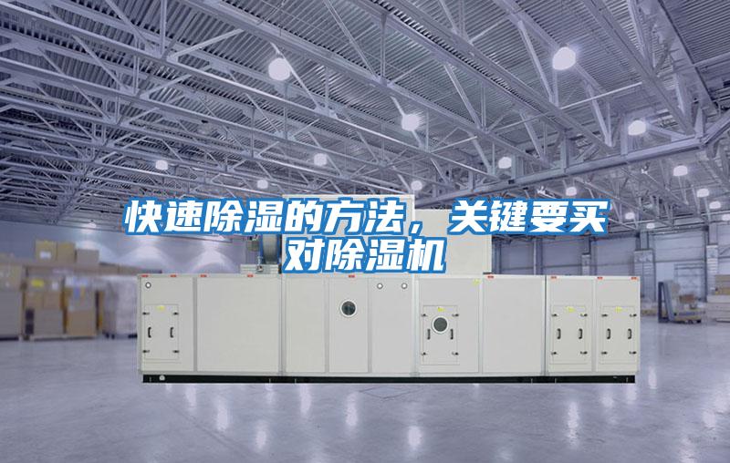 快速除濕的方法，關鍵要買對除濕機