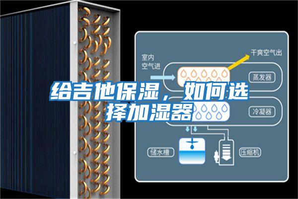 給吉他保濕,如何選擇加濕器