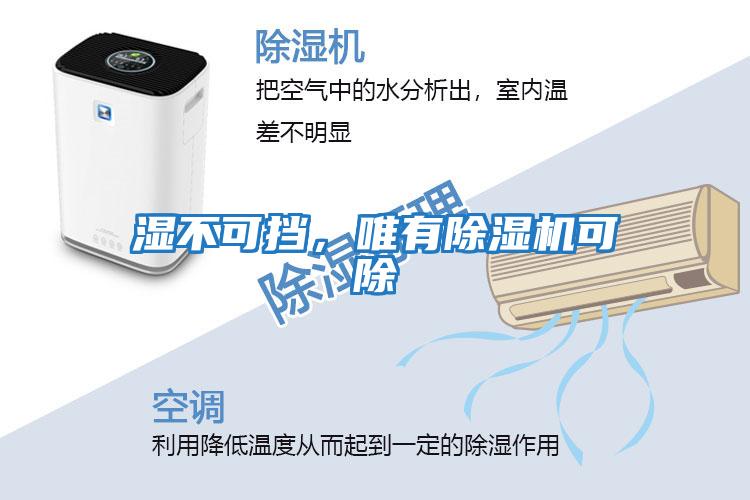 濕不可擋，唯有除濕機可除