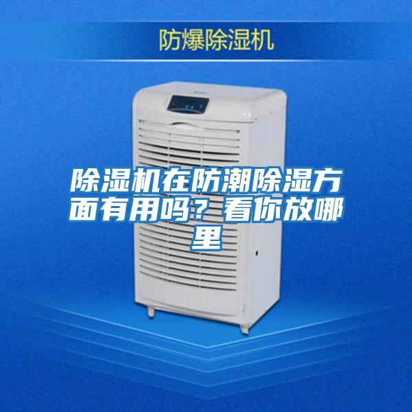 除濕機在防潮除濕方面有用嗎?看你放哪里