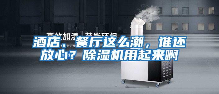 酒店、餐廳這么潮，誰還放心？除濕機(jī)用起來啊