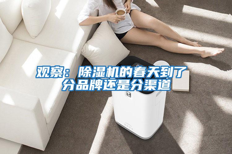 觀察:除濕機(jī)的春天到了 分品牌還是分渠道