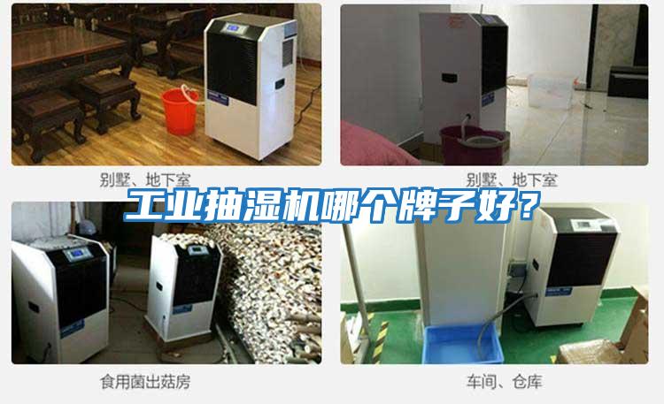 工業(yè)抽濕機(jī)哪個(gè)牌子好?