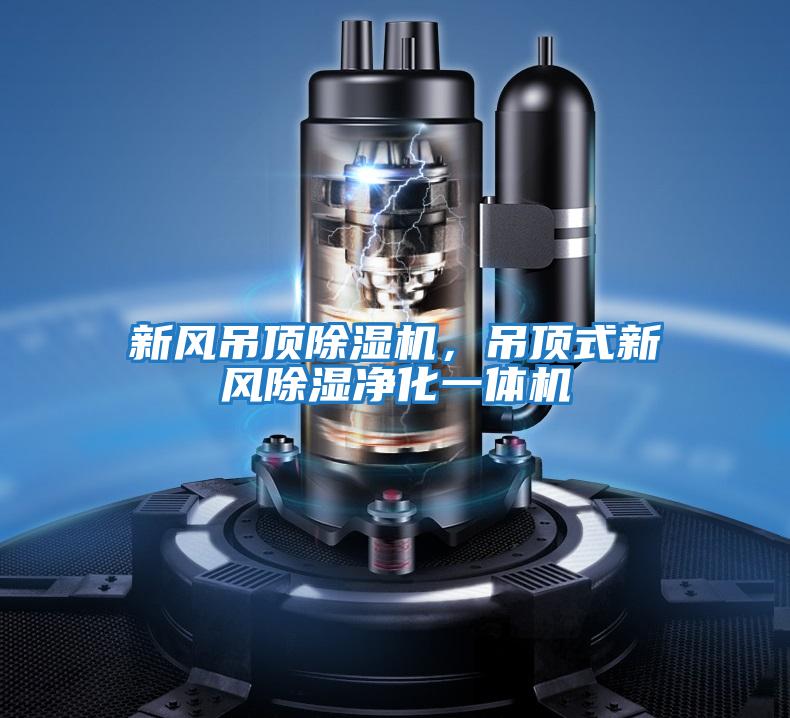 新風(fēng)吊頂除濕機,吊頂式新風(fēng)除濕凈化一體機