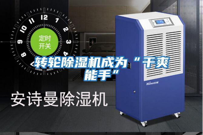 轉(zhuǎn)輪除濕機成為“干爽能手”