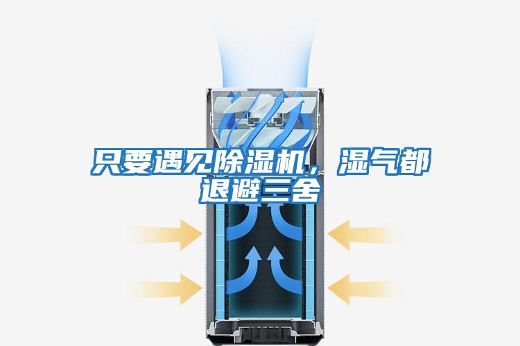 只要遇見除濕機，濕氣都退避三舍