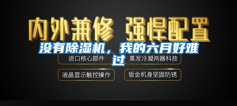 沒有除濕機，我的六月好難過