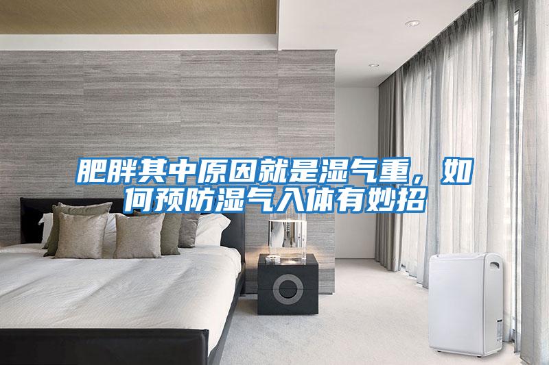 肥胖其中原因就是濕氣重,如何預防濕氣入體有妙招