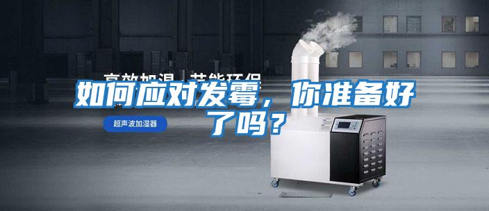 如何應對發霉，你準備好了嗎？