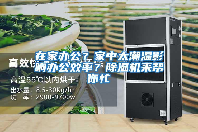 在家辦公？家中太潮濕影響辦公效率？除濕機來幫你忙