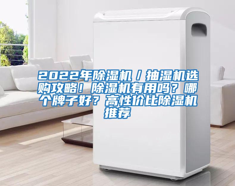 2022年除濕機／抽濕機選購攻略！除濕機有用嗎？哪個牌子好？高性價比除濕機推薦