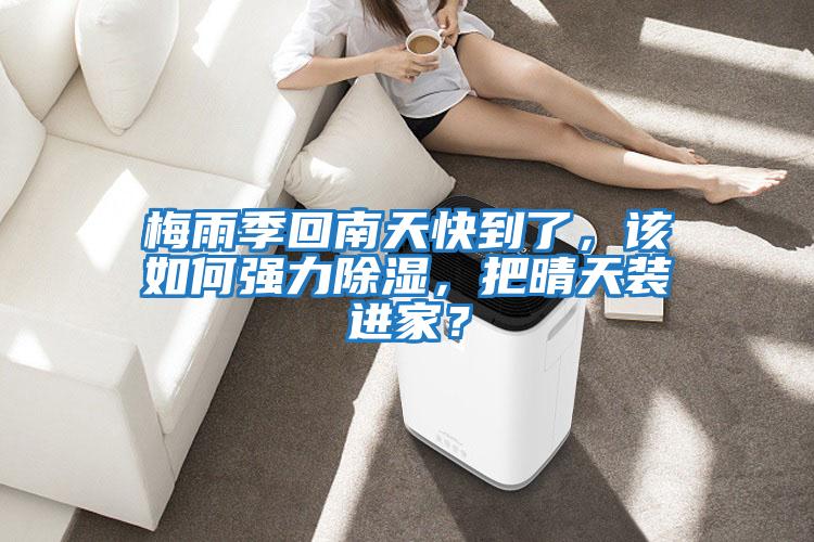 梅雨季回南天快到了，該如何強(qiáng)力除濕，把晴天裝進(jìn)家？