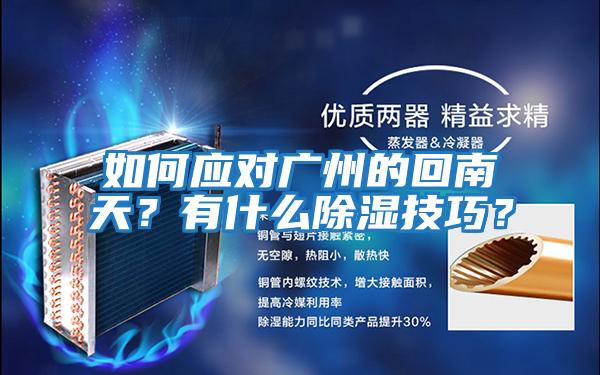 如何應(yīng)對廣州的回南天?有什么除濕技巧?