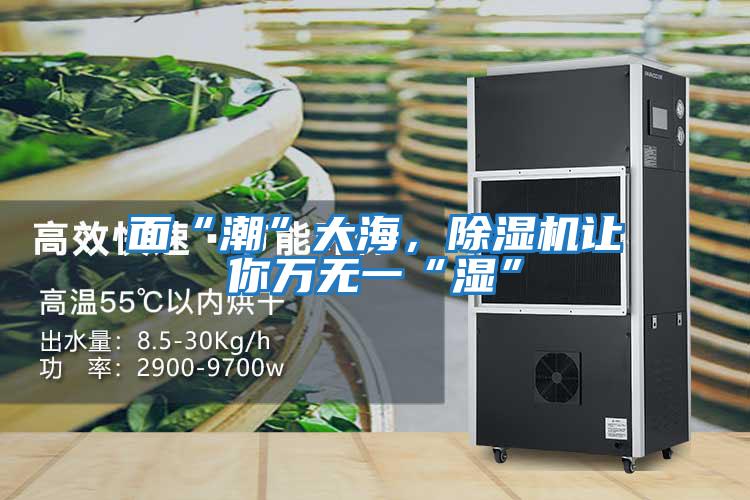 面“潮”大海，除濕機讓你萬無一“濕”