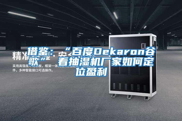 借鑒:“百度Dekaron谷歌” 看抽濕機(jī)廠家如何定位盈利