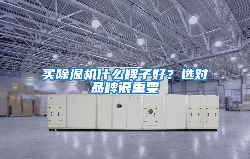 買除濕機什么牌子好？選對品牌很重要